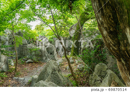 明星輪寺 明星輪寺 69870514