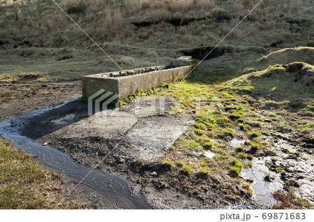 草原の中の水場 草原の中の水場 69871683