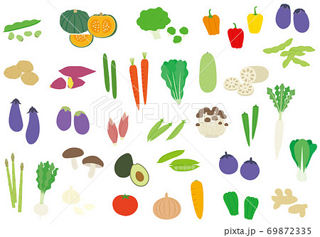 野菜のイラストセット 69872335