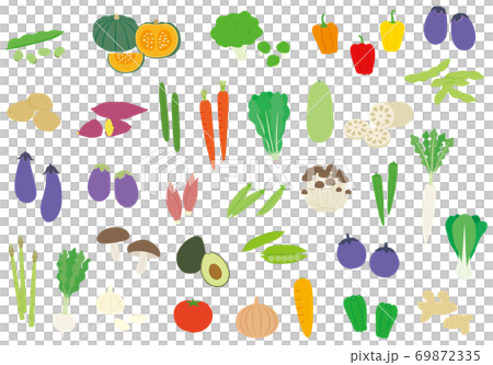 野菜のイラストセット 69872335