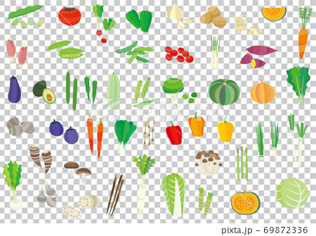 野菜のイラストセット 69872336