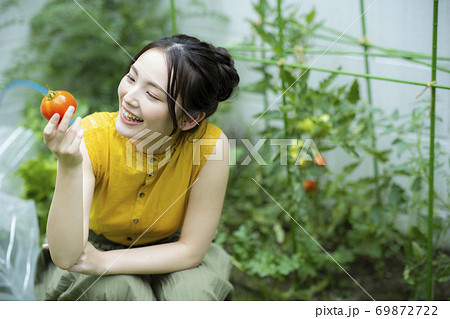 家庭菜園　トマト 69872722