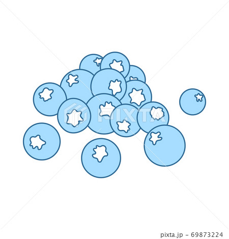 Icon Of Blueberry 69873224
