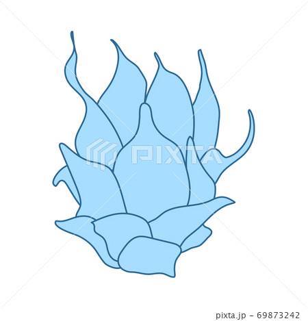 Icon Of Dragon Fruit Icon Of Dragon Fruit 69873242