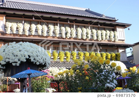 菊の花に彩られた歴史的建造物 笠間の菊まつり 菊の花に彩られた歴史的建造物 笠間の菊まつり 69873570