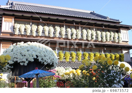 菊の花に彩られた歴史的建造物 笠間の菊まつりの写真素材