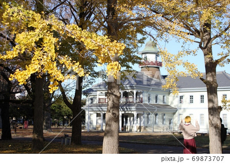 黄葉した銀杏並木越しに望む旧水海道小学校のレトロな佇まい 69873707