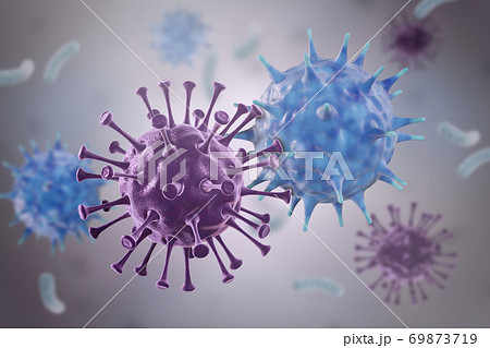 2種類のウイルスが接触する様子 69873719