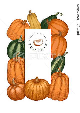 Pumpkin color design template. Vector hand drawn illustrations. Thanksgiving backdrop in retro style with pumpkin harvest. Autumn background. 69875089