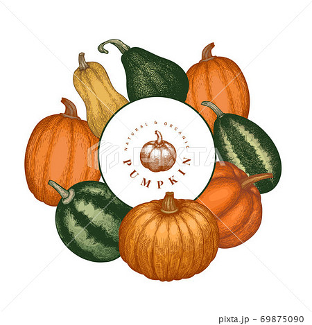 Pumpkin color design template. Vector hand drawn illustrations. Thanksgiving backdrop in retro style with pumpkin harvest. Autumn background. 69875090