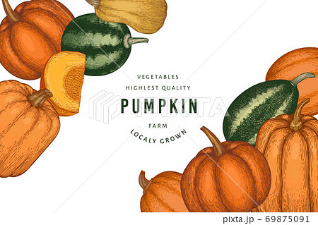Pumpkin color design template. Vector hand drawn illustrations. Thanksgiving backdrop in retro style with pumpkin harvest. Autumn background. 69875091