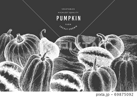Pumpkin design template. Vector hand drawn illustrations on chalk board. Thanksgiving backdrop in retro style with pumpkin harvest. Autumn background. 69875092