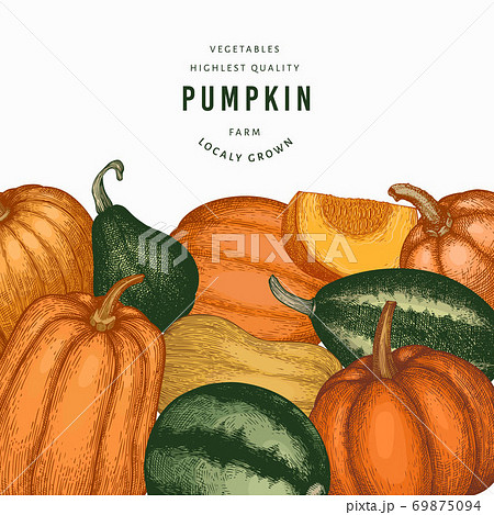 Pumpkin color design template. Vector hand drawn illustrations. Thanksgiving backdrop in retro style with pumpkin harvest. Autumn background. 69875094