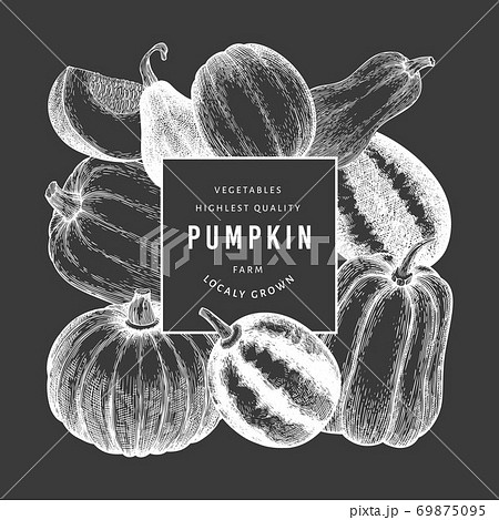 Pumpkin design template. Vector hand drawn illustrations on chalk board. Thanksgiving backdrop in retro style with pumpkin harvest. Autumn background. 69875095