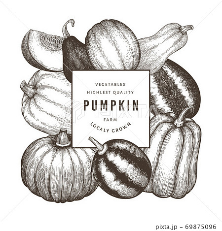 Pumpkin design template. Vector hand drawn illustrations. Thanksgiving backdrop in retro style with pumpkin harvest. Autumn background. 69875096