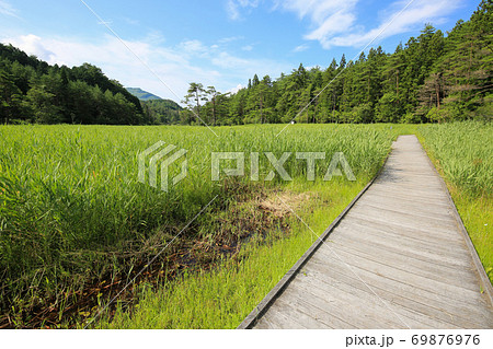 徳島県三好市 黒沢湿原の風景 徳島県三好市 黒沢湿原の風景 69876976