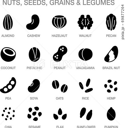 Nuts Seeds Grains Iconsのイラスト素材