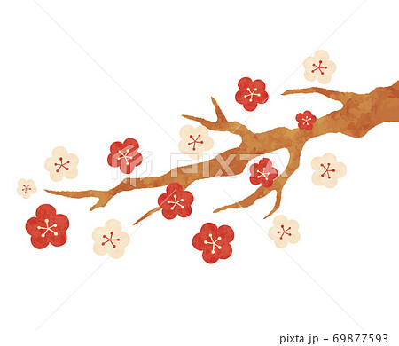 かわいい梅の枝のイラストのイラスト素材