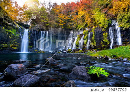 Shiraito waterfall in autumn, Japan. 69877706