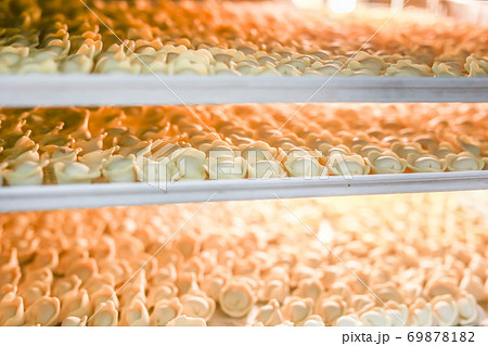 Many frozen dumplings in open manufacturing refrigerator. Frozen semifinished food storage racks 69878182