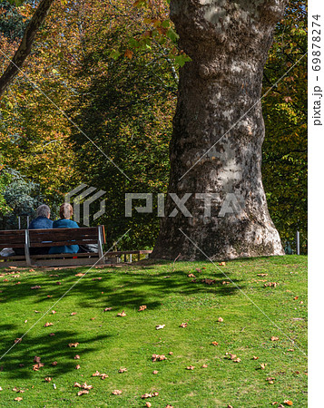 Old women rest in a park bench near the big tree on a sunny day 69878274