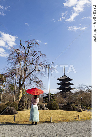 【京都】春を待つ女性 東寺の桜を見ながら 【京都】春を待つ女性 東寺の桜を見ながら 69878532