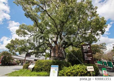 桜の馬場　城彩苑 69881351