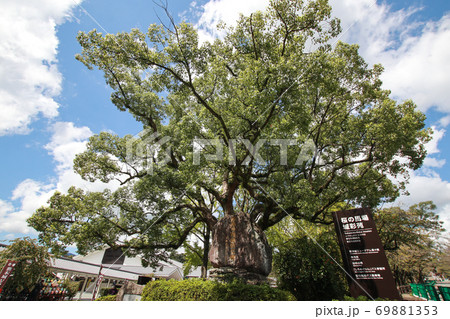 桜の馬場　城彩苑 69881353