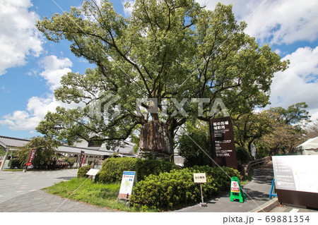 桜の馬場 城彩苑 桜の馬場 城彩苑 69881354