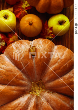 Bunch of pumpkins and apples. Bunch of pumpkins and apples. 69882472