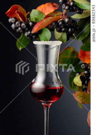 Black chokeberry (aronia melanocarpa) with juice or syrup. Black chokeberry (aronia melanocarpa) with juice or syrup. 69882543