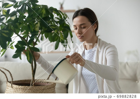 Young woman hold pot watering green house plant Young woman hold pot watering green house plant 69882828