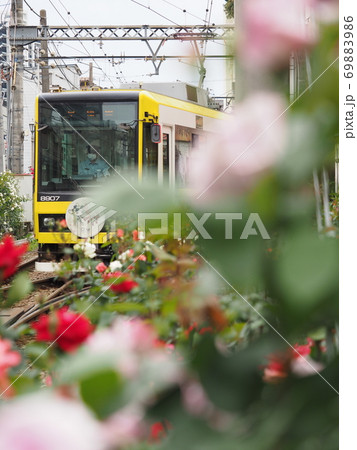 バラの季節 バラの季節 69883986