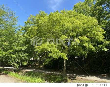 徳生公園 徳生公園 69884314