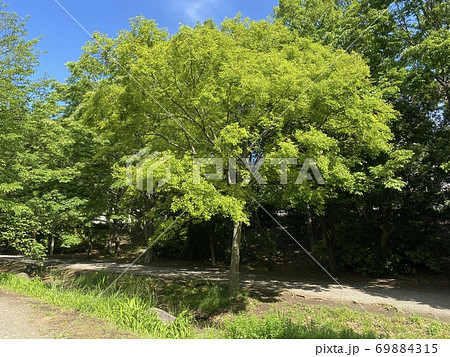 徳生公園 徳生公園 69884315
