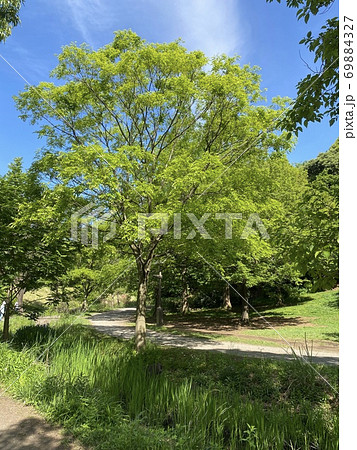 徳生公園 徳生公園 69884327