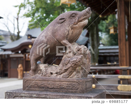 京都府京都市 護王神社 イノシシの社　 69885177