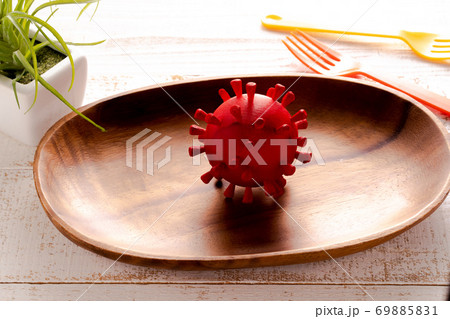 新型コロナウイルス　模型　イメージ 69885831
