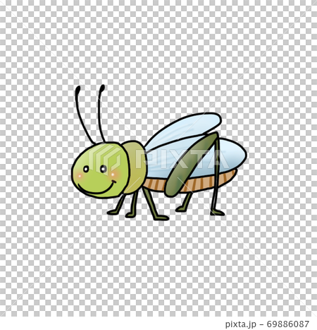 かわいいバグのイラストバグのイラスト素材