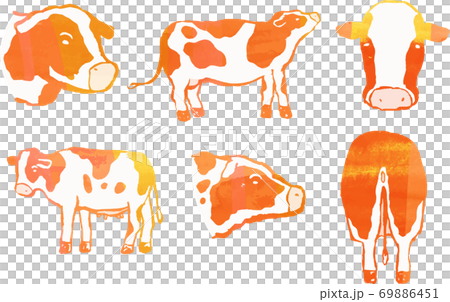 リアルな牛 乳牛 丑年 牧場 手描きイラスト 水彩風テクスチャのイラスト素材