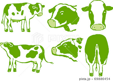 リアルな牛 乳牛 丑年 牧場 手描きイラスト のイラスト素材