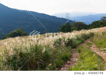 秋の伊吹山　登山道の風景 69886798