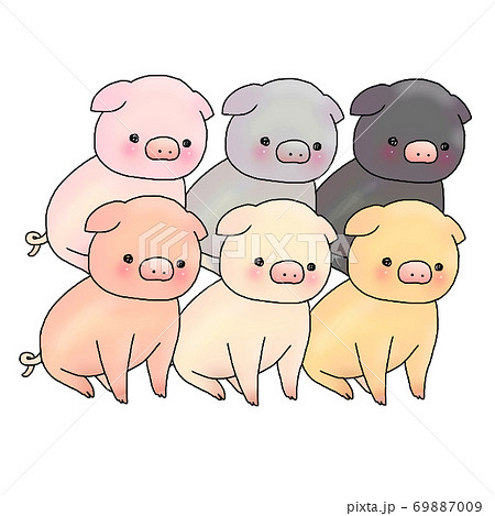 6色の並んだ子豚たちのイラスト素材