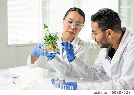 Female scientist holding green lab-grown soy sprouts while man going to take one 69887528