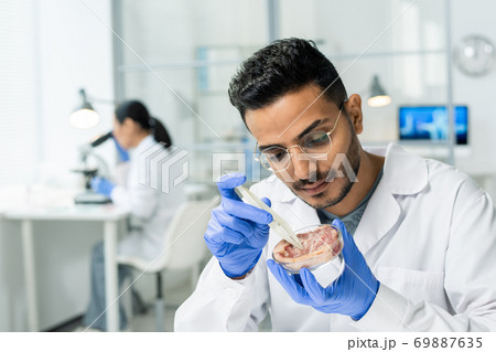 Gloved male scientific researcher in whitecoat taking tiny sample of raw meat Gloved male scientific researcher in whitecoat taking tiny sample of raw meat 69887635