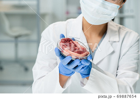 Gloved hands of young female scientific researcher piece of raw vegetable meat Gloved hands of young female scientific researcher piece of raw vegetable meat 69887654