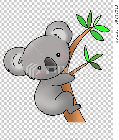 Koala On The Tree Stock Illustration