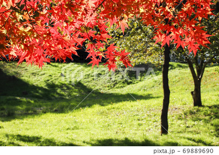 快晴の霜月、紅葉風景 快晴の霜月、紅葉風景 69889690