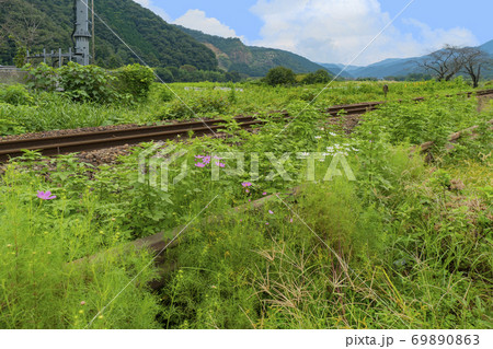 田舎の風景 69890863