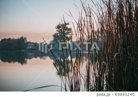 Autumn landscape on the lake. The rural sky of nature river clouds landscape and dry yellow reeds. Riverbank nature. Rural river landscape. 69891240